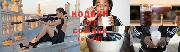 спиды Няндома