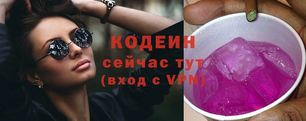 спиды Няндома