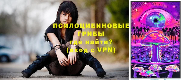 спиды Няндома
