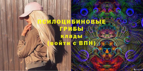спиды Няндома