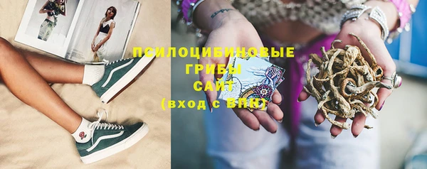 спиды Няндома