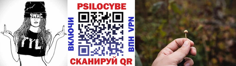 Псилоцибиновые грибы Psilocybine cubensis  Купить  Советский